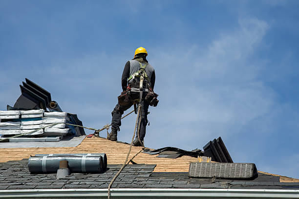 Professional Roof Replacement technician working in Woosung, IL